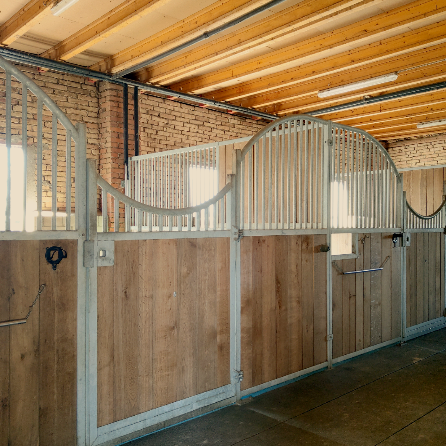 Pferdepension Equilibrium Horsemanship – Stallanlage in Büron