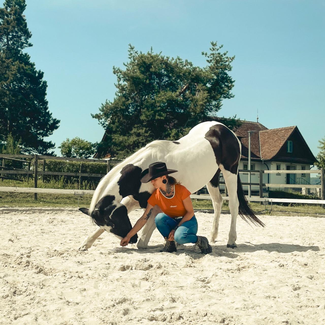 Korrektur von Pferden