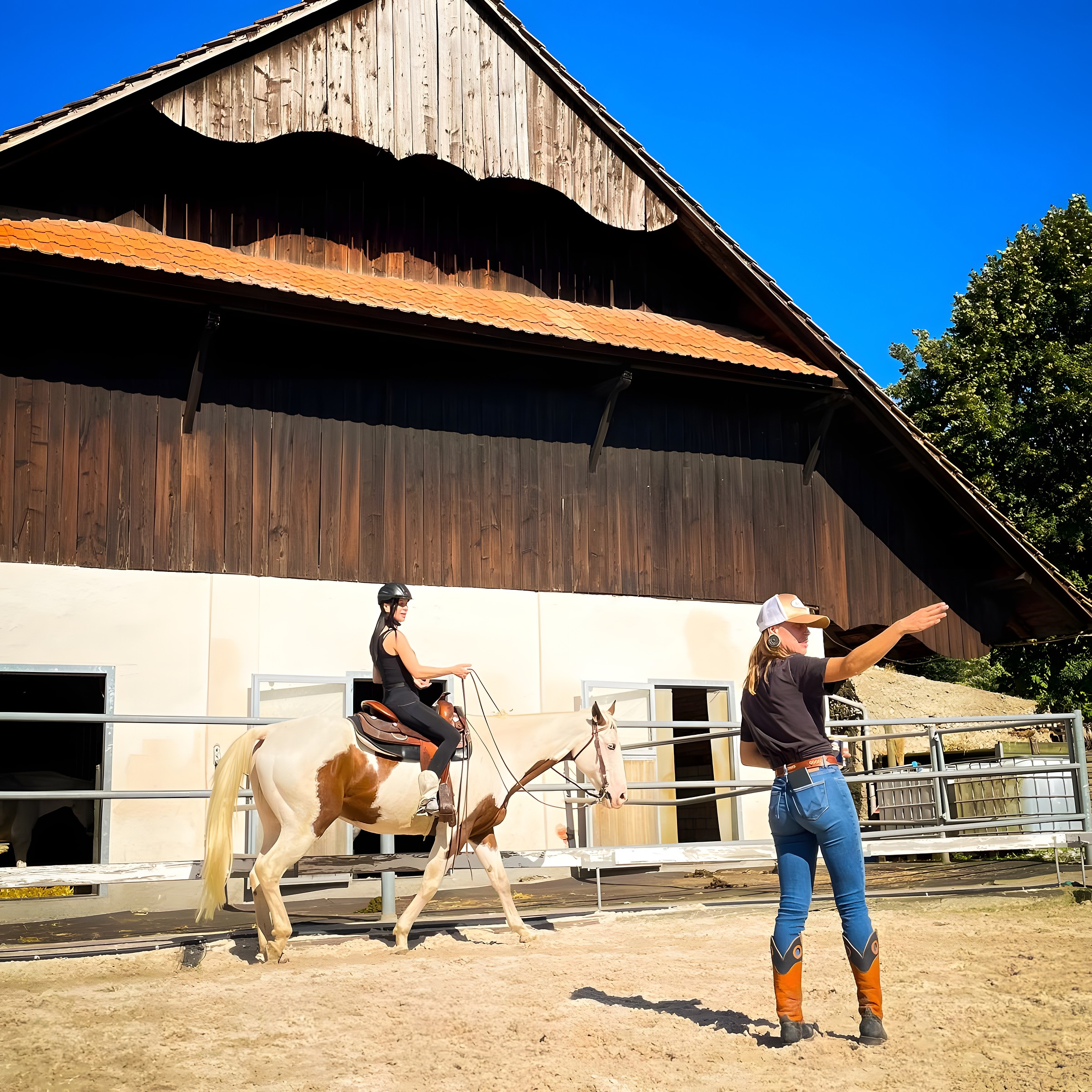 Reitunterricht — Grundlagen am Boden