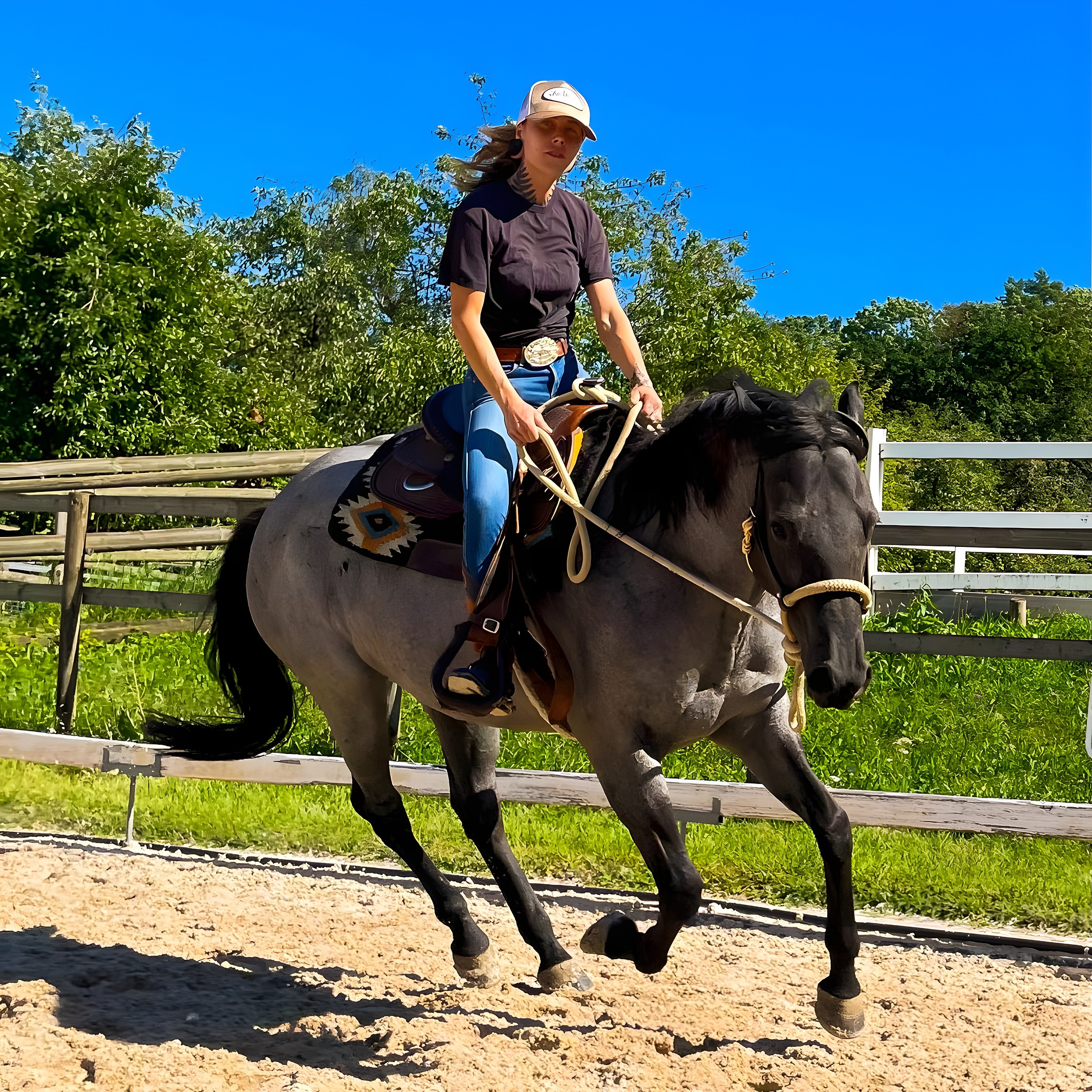 Frei Reiten — Westernreiten entdecken